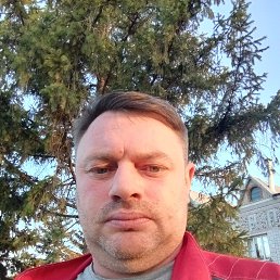 , 43 , -