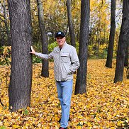 ����, 60 ���, ������