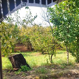 �����, ������, 48 ���