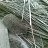 ���� ��������� ���������, ��������, 59 ��� - ��������� 25 ����� 2026