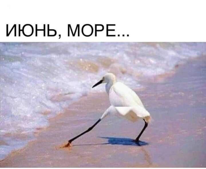   - 19  2025  12:05