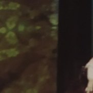 , 24 , 
