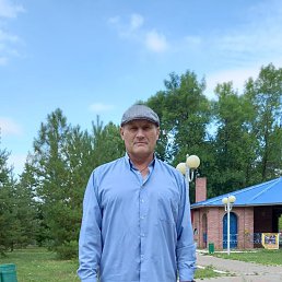 ����, 55 ���, ���������