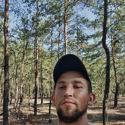 , 29, 
