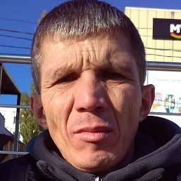 �����, ���������, 40 ���