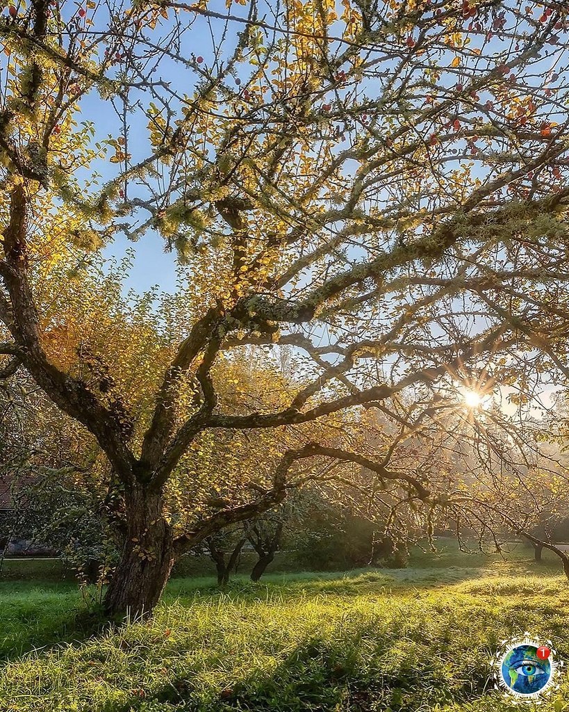 ce op.o oceo a aae coco oac pepace  oe pe oa, o oce ... - 2