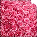  Ivan, -, 30  -  26  2024    