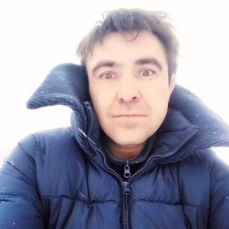 �����, 33 ����, ��������