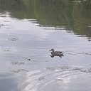 ���� �������, ������ ��������, 45 ��� - ��������� 15 �������� 2025 � ������ ���� ����������