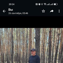 ������, ���������, 51 ���