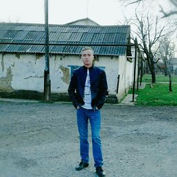 , 37, 