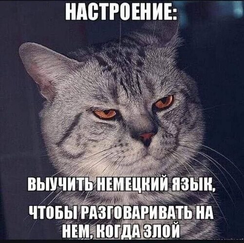   ! - 8  2025  18:32