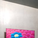  , , 19  -  5  2025    