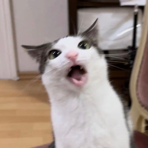 ��� ���������! - 4