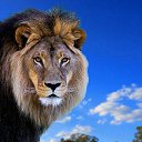 ���� �������, ���������, 35 ��� - ��������� 23 ����� 2024 � ������ ���� ����������