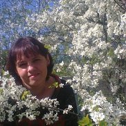 ����, 46 ���, ��������