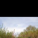 ���� ��������, ��������������, 59 ��� - ��������� 17 ����� 2024 � ������ ���� ����������