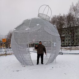 ������, ��������, 41 ���