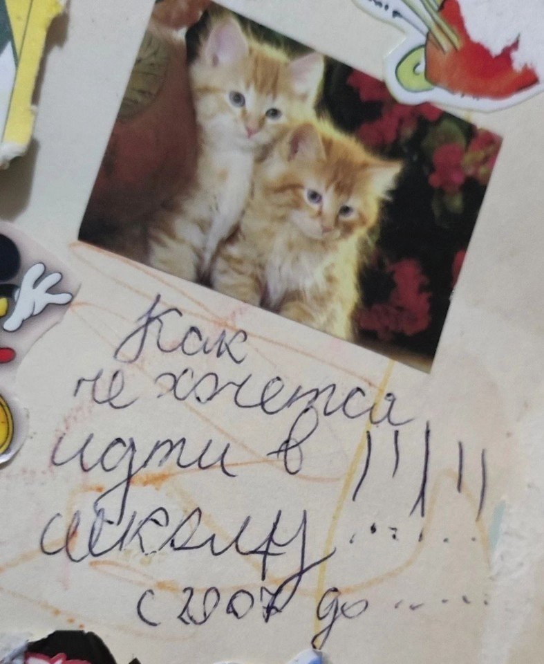 ��� �� � ������ ���� ���������