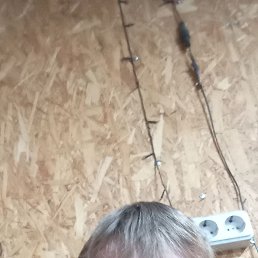 �������, 39 ���, ����������