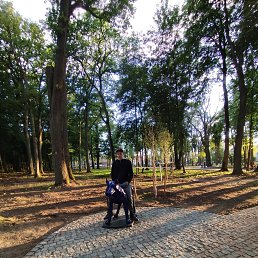 ������, 19 ���, �����������