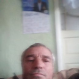 , 55, 