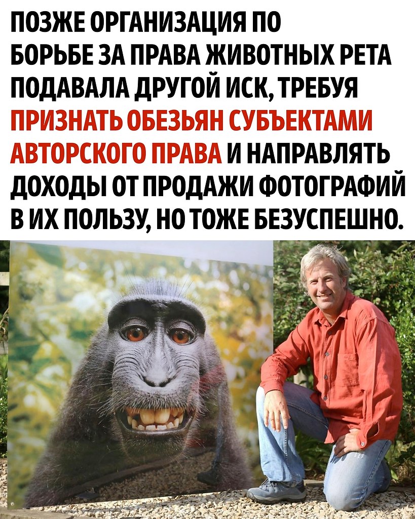     - 3