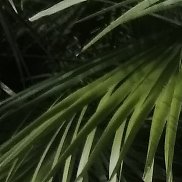 , 39 , 