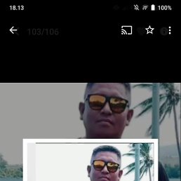 Anas, , 43 