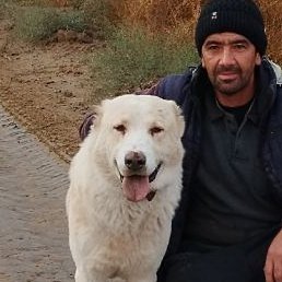 ������, ������, 44 ����