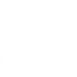 , -, 44 