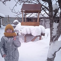 �����, ������, 38 ���