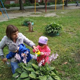 �������, ������, 54 ����