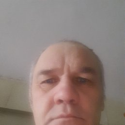, 61 , 