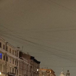 �����, ���������, 41 ���