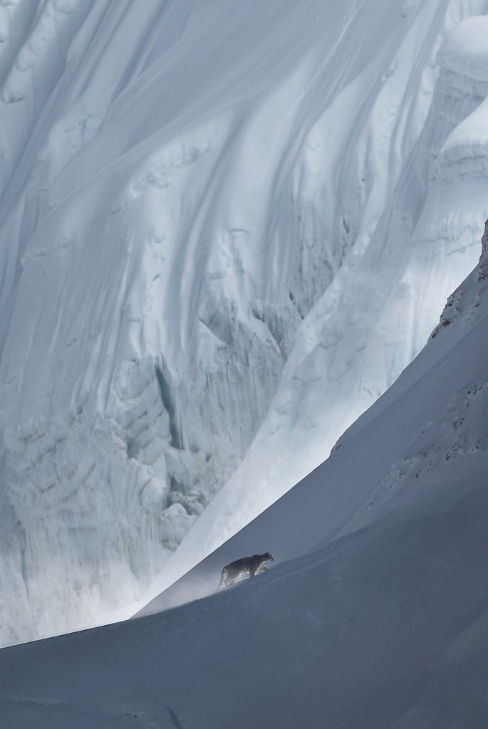 На высоте более 5 километров возле Эвереста фотографу Киттии Павловски удалось поймать в кадр ... - 2