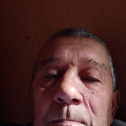 ���� �����, ����, 63 ���� - ��������� 19 ������� 2024