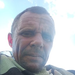 , 41, 