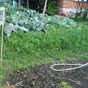 ���� �����, �������� - ��������� 26 ���� 2025 � ������ ������� 2025�