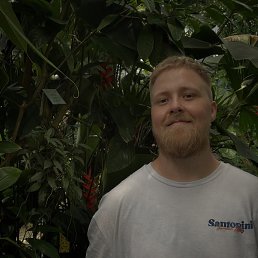 , 32, 