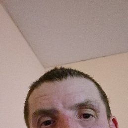 , 41, 