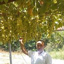 ���� ����, ���������, 40 ��� - ��������� 14 ������� 2025 � ������ ���� ����������