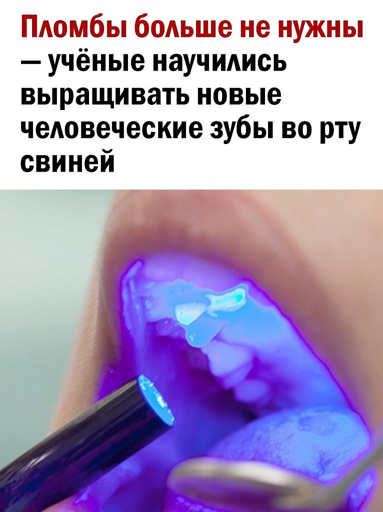  - 2  2025  20:12
