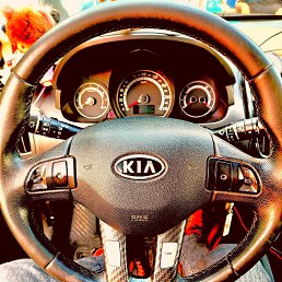 ���� ���������, ��������, 20 ��� - ��������� 16 �������� 2024