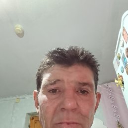 ������, 49 ���, ���