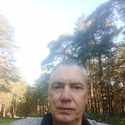 , 52, 
