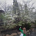 ���� �����, ���������, 33 ���� - ��������� 14 ������� 2025