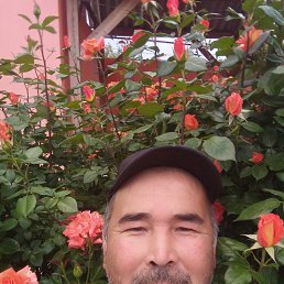 , 47, 