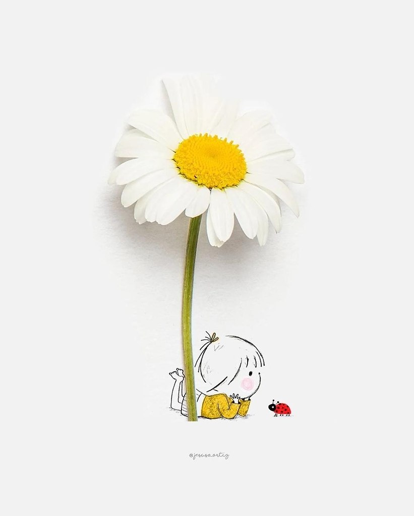 ������������������������������ - 2