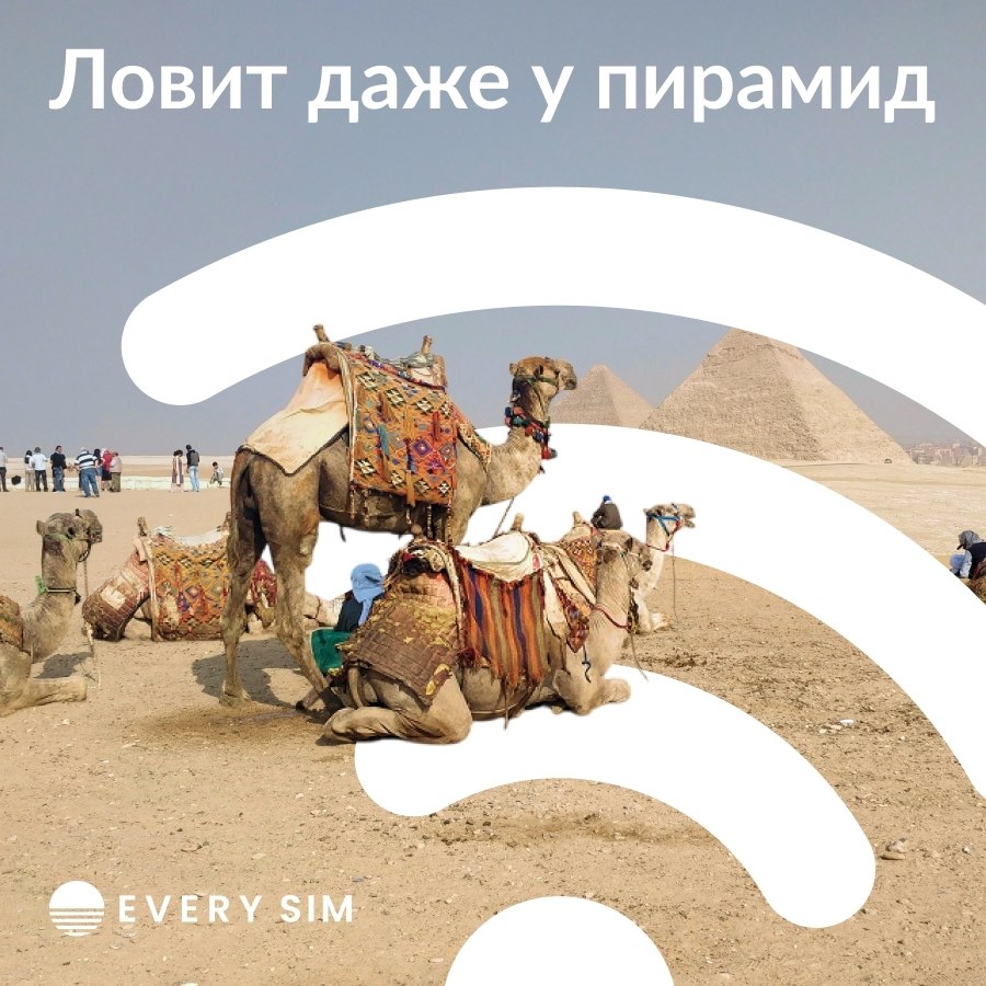 ,   ,   ?   .  -  . eSIM  ...